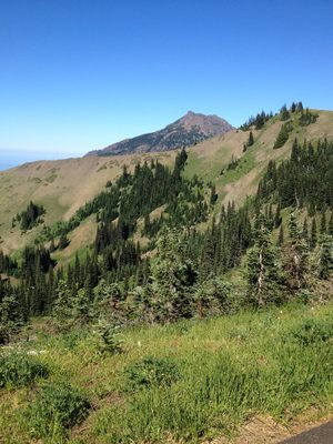 We did some mild hiking / walking.  Perfect temps
